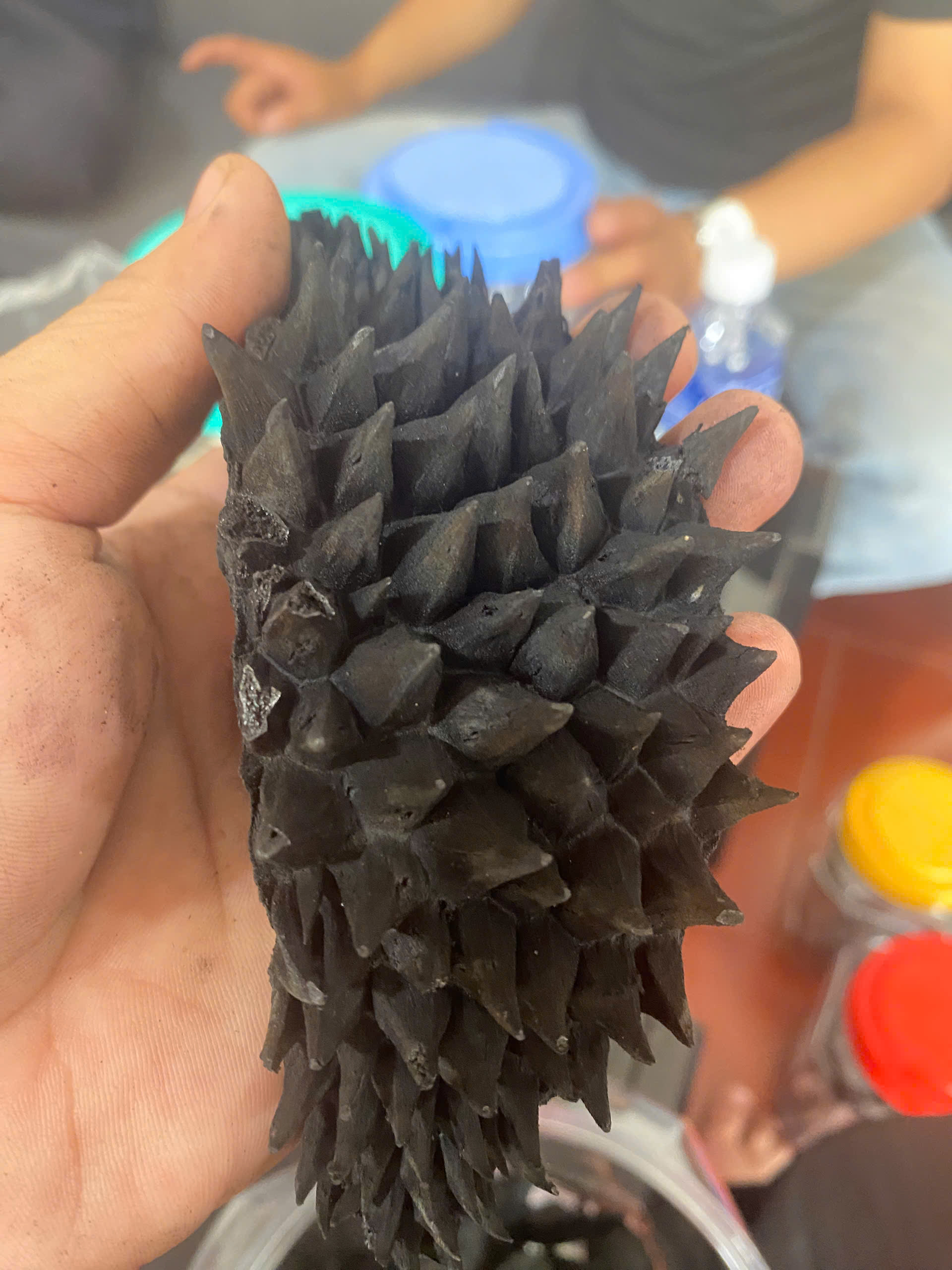 Than biochar vỏ sầu riêng / GreenChar Durian Biochar