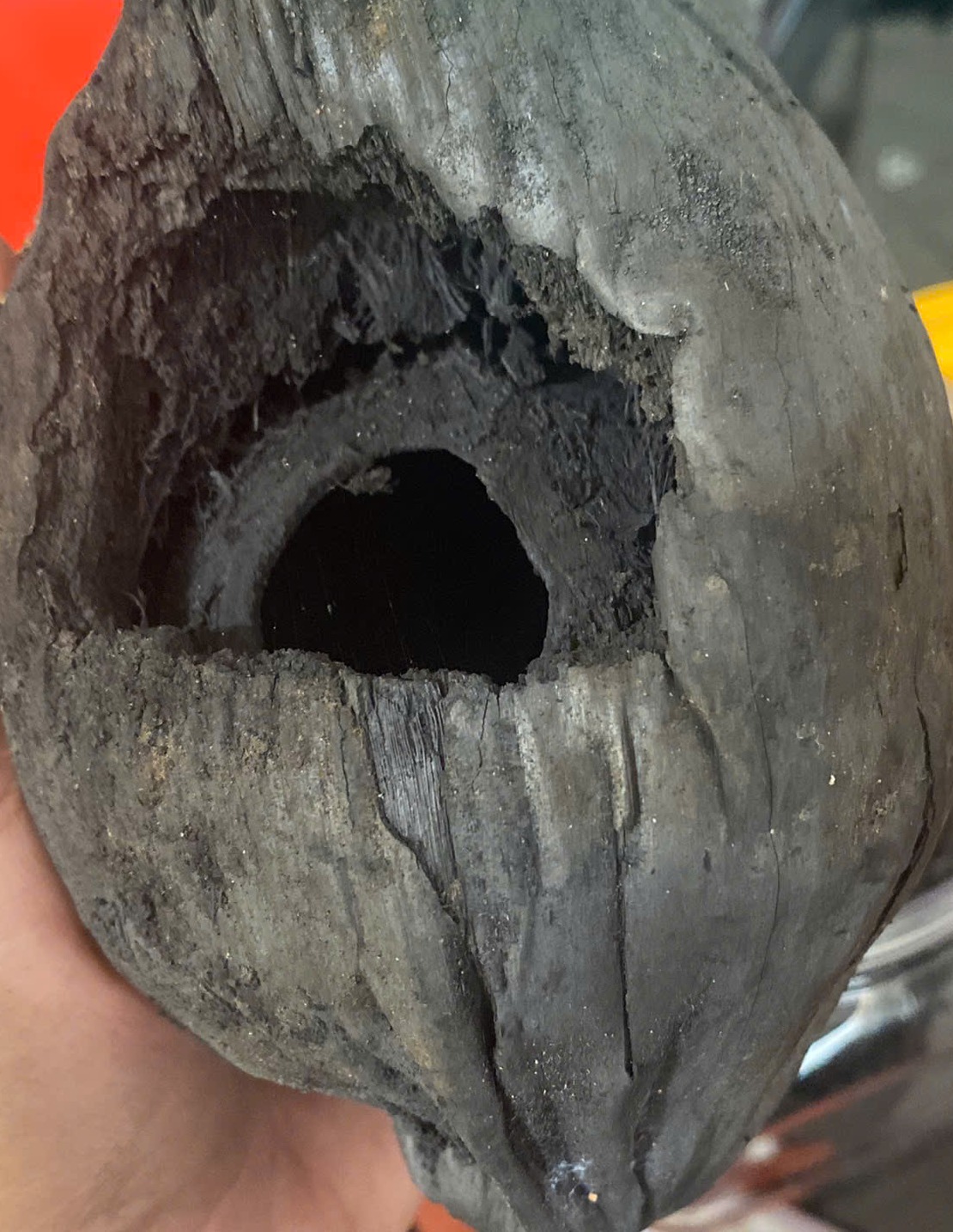 Than biochar vỏ dừa (Coconut Shell Biochar)