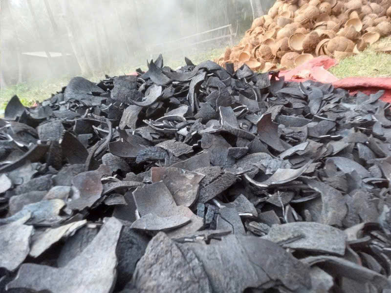 DỰ ÁN SẢN XUẤT THAN GÁO DỪA/GreenCoco