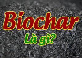 Biochar là gì? Toàn bộ kiến thức cần biết về than sinh học